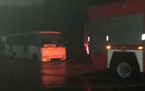 Молния жгла и валила деревья, автобус застрял в луже – мариупольские спасатели устраняют последствия непогоды