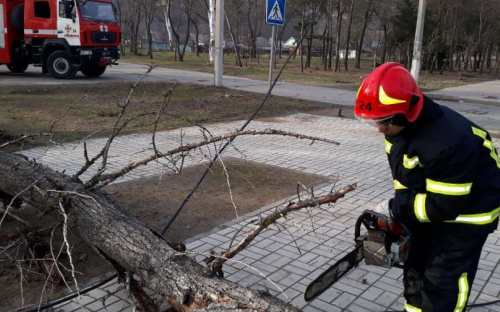 В Мариуполе устраняют последствия шторма: повалено около 60 деревьев (ФОТО+ВИДЕО)