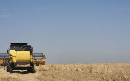 Під Маріуполем окупанти розпочали збирання врожаю