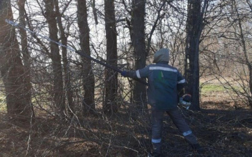 В Мариупольском районе проводят обрезку деревьев