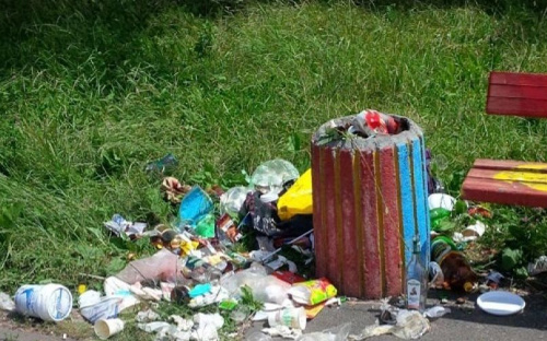Верховная Рада установит «драконовские» штрафы за выброс мусора в неположенных местах