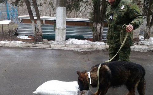В кинологический центр в Мариуполе прибыли собаки из семи областей Украины (ФОТО)