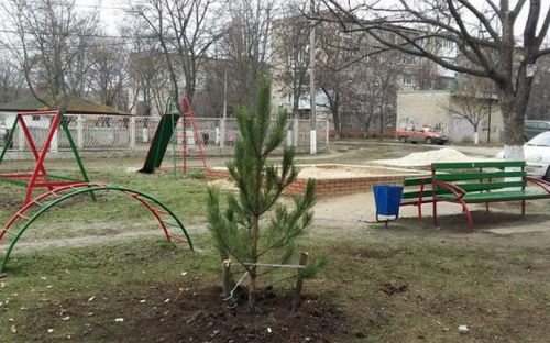 В Мариуполе появится новая аллея, которой жители придумают название (ФОТО)