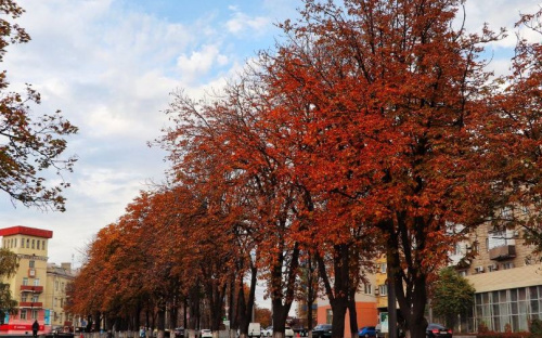 Дожди уйдут? Прогноз погоды на первую неделю ноября в Мариуполе