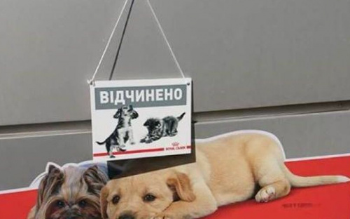 В Мариуполе волонтеры откроют Центр ветеринарной помощи (ФОТО)