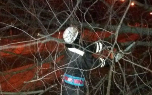 Шторм в Мариуполе: деревья рушились на дома и ограды, ливень топил дворы (ФОТО)