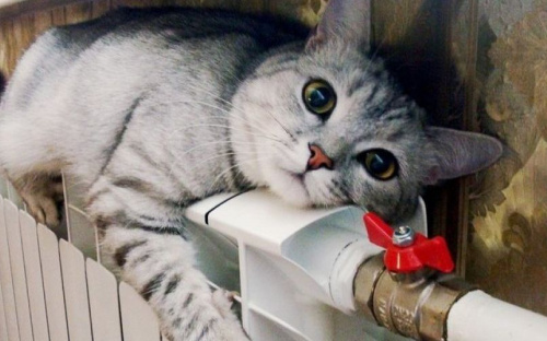 Готов ли Мариуполь  к отопительному сезону и когда он начнется?