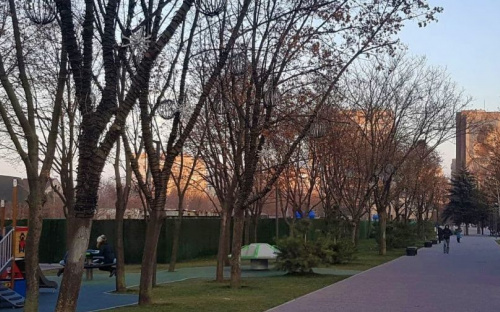 Большие шары и снежинки украсили деревья в центре Мариуполя
