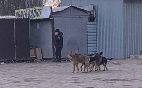 Батьки скоро виходитимуть на 