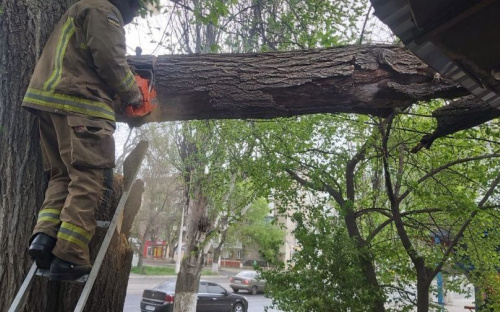 Спасатели ликвидируют последствия непогоды: в Мариуполе жизни горожан угрожало аварийное дерево, в Урзуфе – затопило Дом Культуры