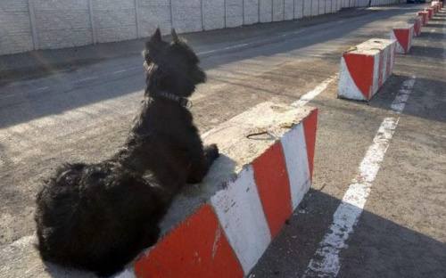 Под Мариуполем у пассажира рейсового автобуса нашли наркотики (ФОТО)