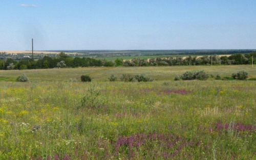 Создан заказник на месте отработанного карьера под Мариуполем