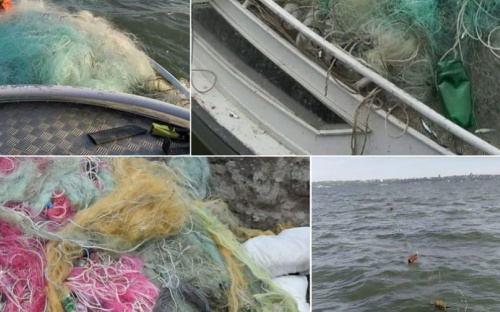 Пограничники выловили из Азовского моря порядка километра сетей с рыбой внутри (ФОТО)