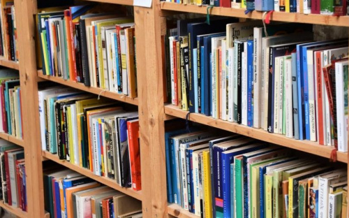 Найти книгу онлайн: в мариупольских библиотеках оцифровали все фонды