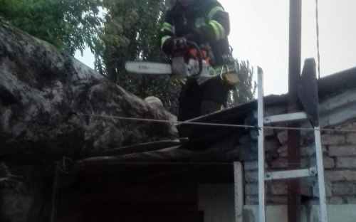 В Мариуполе большое дерево рухнуло на крышу жилого дома (ФОТО)