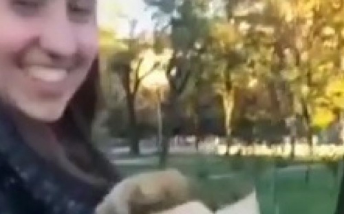Мариупольчанка унесла новый газон Театрального сквера в пакете (ВИДЕО)