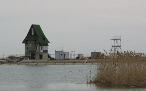 Жители приазовского села помешали украинским военным построить укрытие