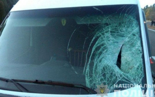 Под Мариуполем водитель микроавтобуса сбил 18-летнего парня (ФОТО)