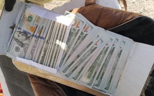 На Донетчине через КПВВ пытались провезти деньги в оригинальном тайнике (ВИДЕО)