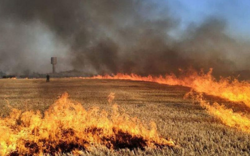 На Донетчине загорелись  нацпарк и сельхозугодья