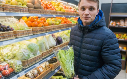 «Куркуль» снабдит мариупольцев свежей и дешевой зеленью (ФОТО)