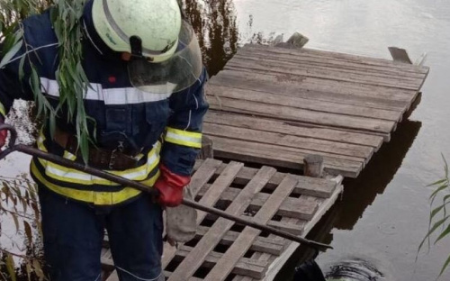 В пруду на Донетчине нашли утопленника