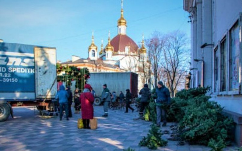 В Мариуполь вернулась главная елка города после ремонта