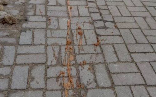 В Мариуполе киоск переселенки пытались ограбить с помощью сгущенки (ФОТО)