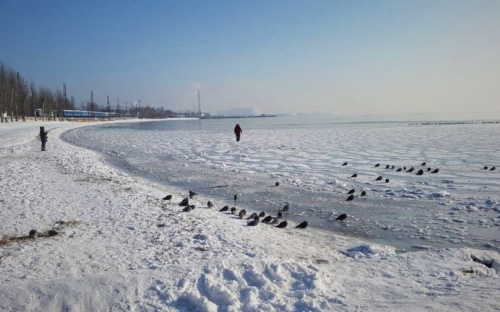 Беспечный экстрим: мариупольцы по льду уходили на сотни метров в море