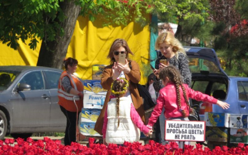 В Мариуполе расцвел ароматный тюльпановый рай для селфи и фотосессий (ФОТО+ВИДЕО)