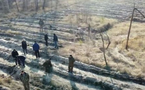 На Донетчине восстановили уничтоженный боевиками лес