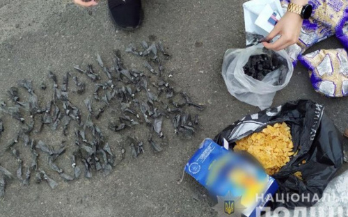 В Мариуполе в пачке хлопьев нашли наркотики стоимостью 120 тысяч гривен (ФОТО)