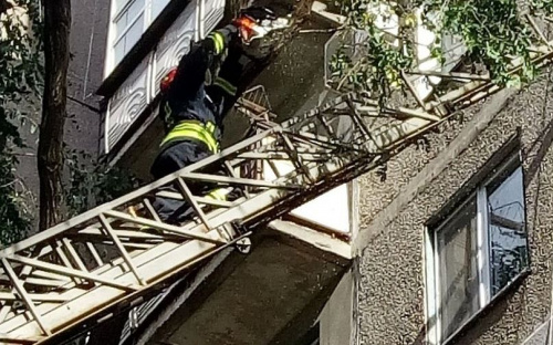 На пешеходов в Мариуполе едва не свалились сухие ветки (ФОТОФАКТ)