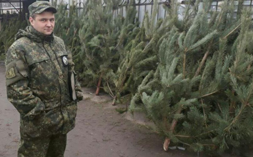В Мариуполе перед Новым годом полицейские изымают нелегальные елки (ФОТО)