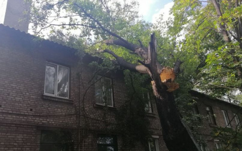 Непогода в Мариуполе: восемь спасателей ликвидировали упавшее на двухэтажный дом дерево (ФОТО)