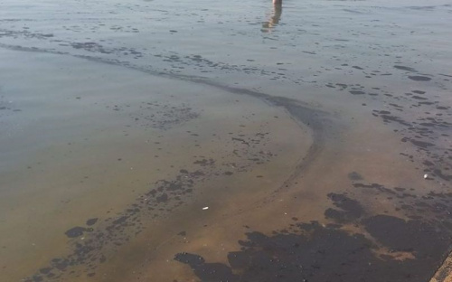 Черные пятна покрыли море в Мариуполе (ФОТОФАКТ)