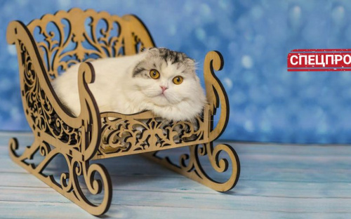 Домик для ежика, санки для кота. Мариупольская зоомебель, которая покоряет мир (ФОТО)