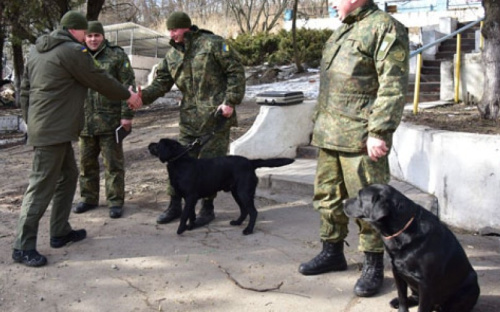 Кинологический центр полиции в Мариуполе откроют в конце февраля