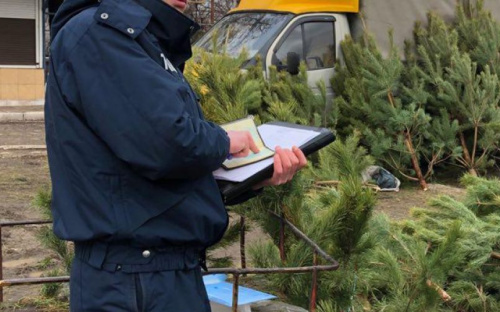 В Мариуполе незаконно торговали главным новогодним атрибутом (ФОТО)