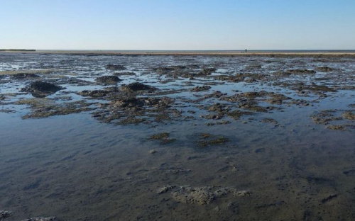 В Мариуполе ушло море, активизировались копатели (ВИДЕО)