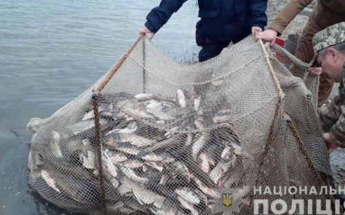 Под Мариуполем попался рыбный браконьер: ему грозит штраф до 51 тысячи гривен или тюрьма