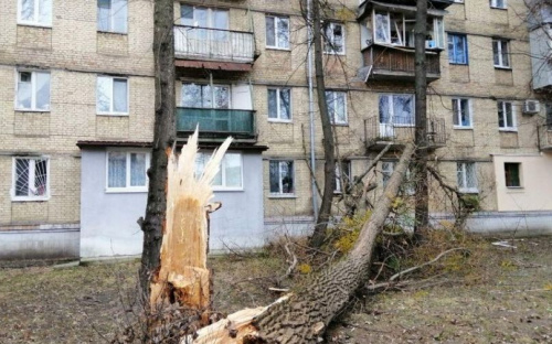 В Мариуполе порывами сильного ветра срывает крыши и валит на жилые дома деревья