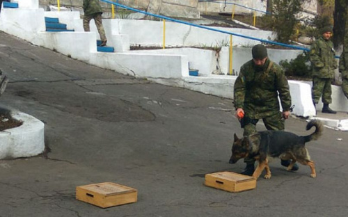 В кинологическом центре Мариуполя протестировали прибывших на службу в Донецкую область собак (ФОТО)