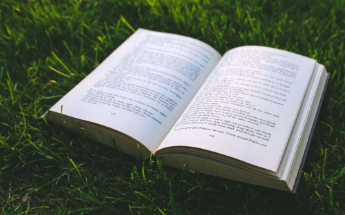 В Мариуполе ищут лучшую книгу, написанную в Приазовье