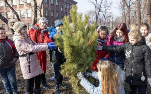 Во дворе мариупольской школы металлурги высадили хвойные деревья (ФОТО)