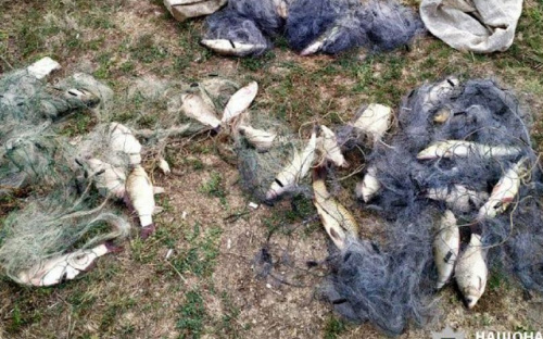 Браконьеры расставили сети на реке в Мариуполе