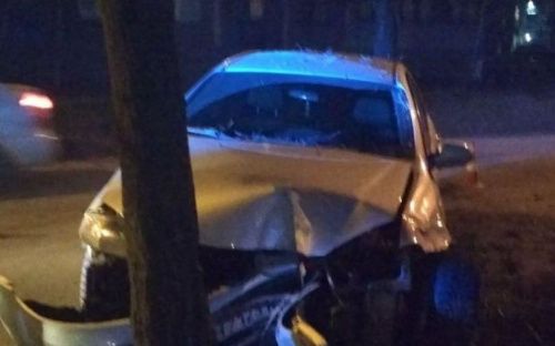 В Мариуполе водитель-девушка снесла дерево: пострадали двое детей (ФОТО)