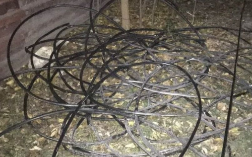 Воровали кабели: жителей Мариуполя поймали «на горячем»
