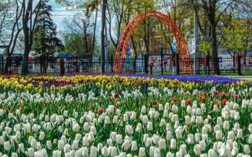 «Живой» флаг Украины и греческий орнамент: с начала мая в Мариуполе высадили порядка 200 тысяч цветов (ФОТО)