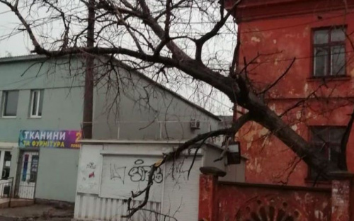 В Мариуполе штормовой ветер повалил дерево и повредил кровлю